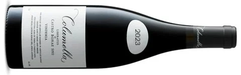 Columella+2023.jpg?format=1000w